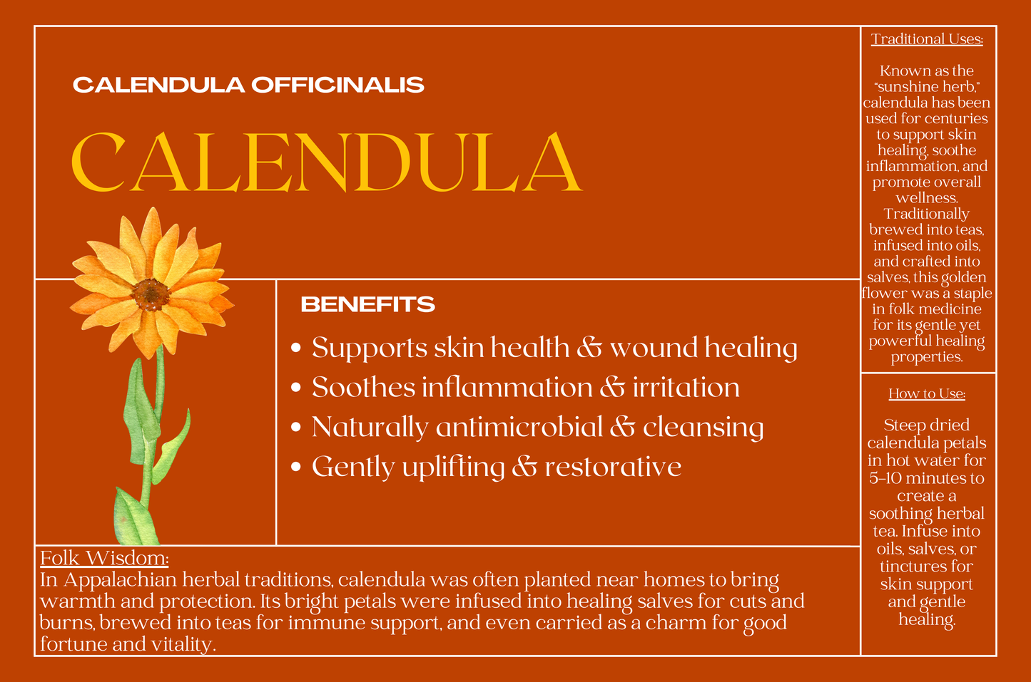 Calendula