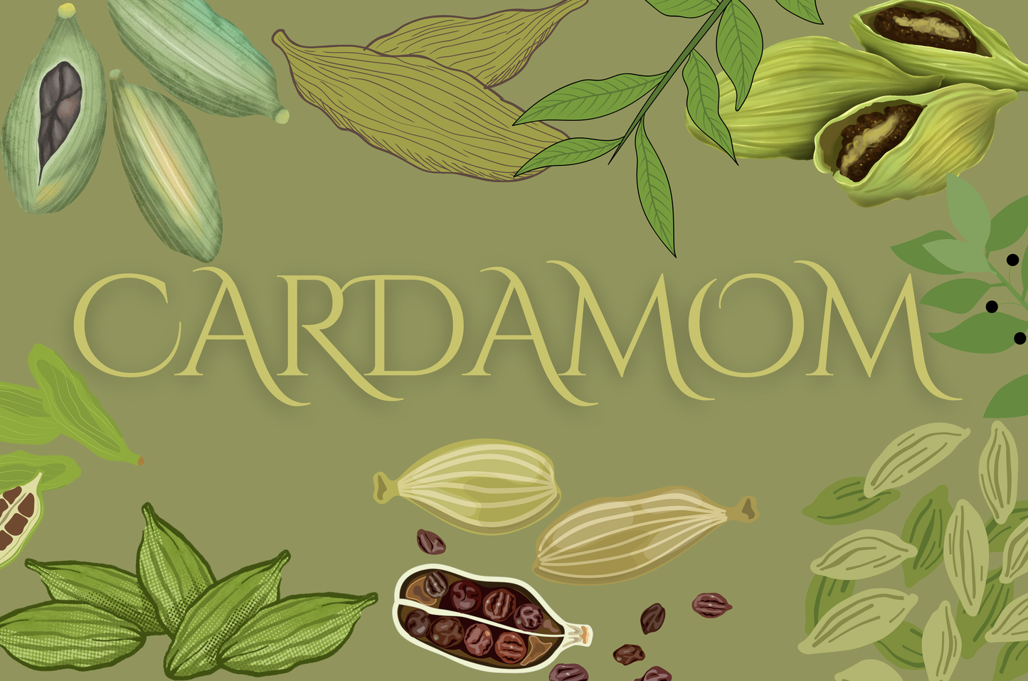 Cardamom