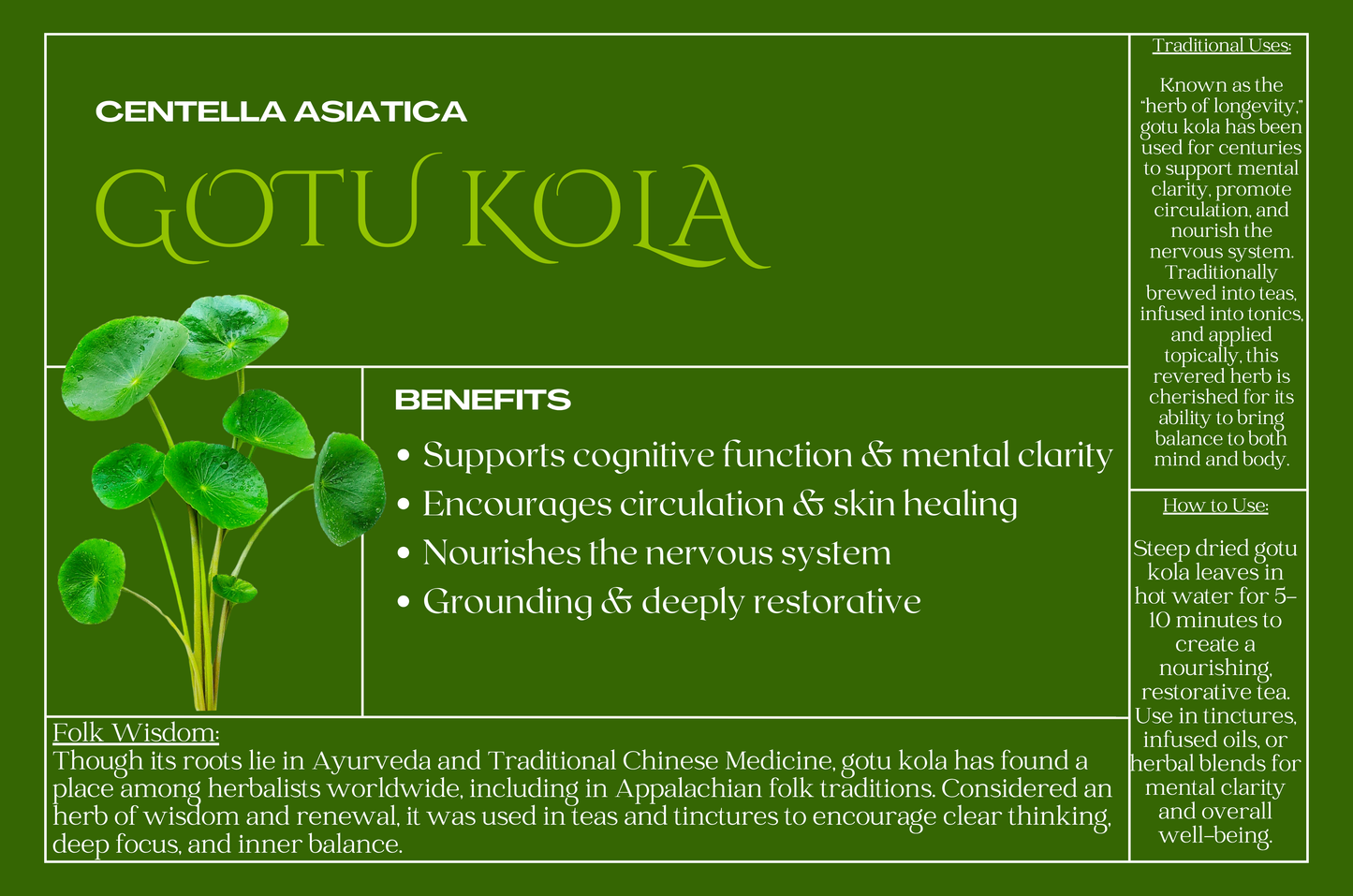 Gotu Kola