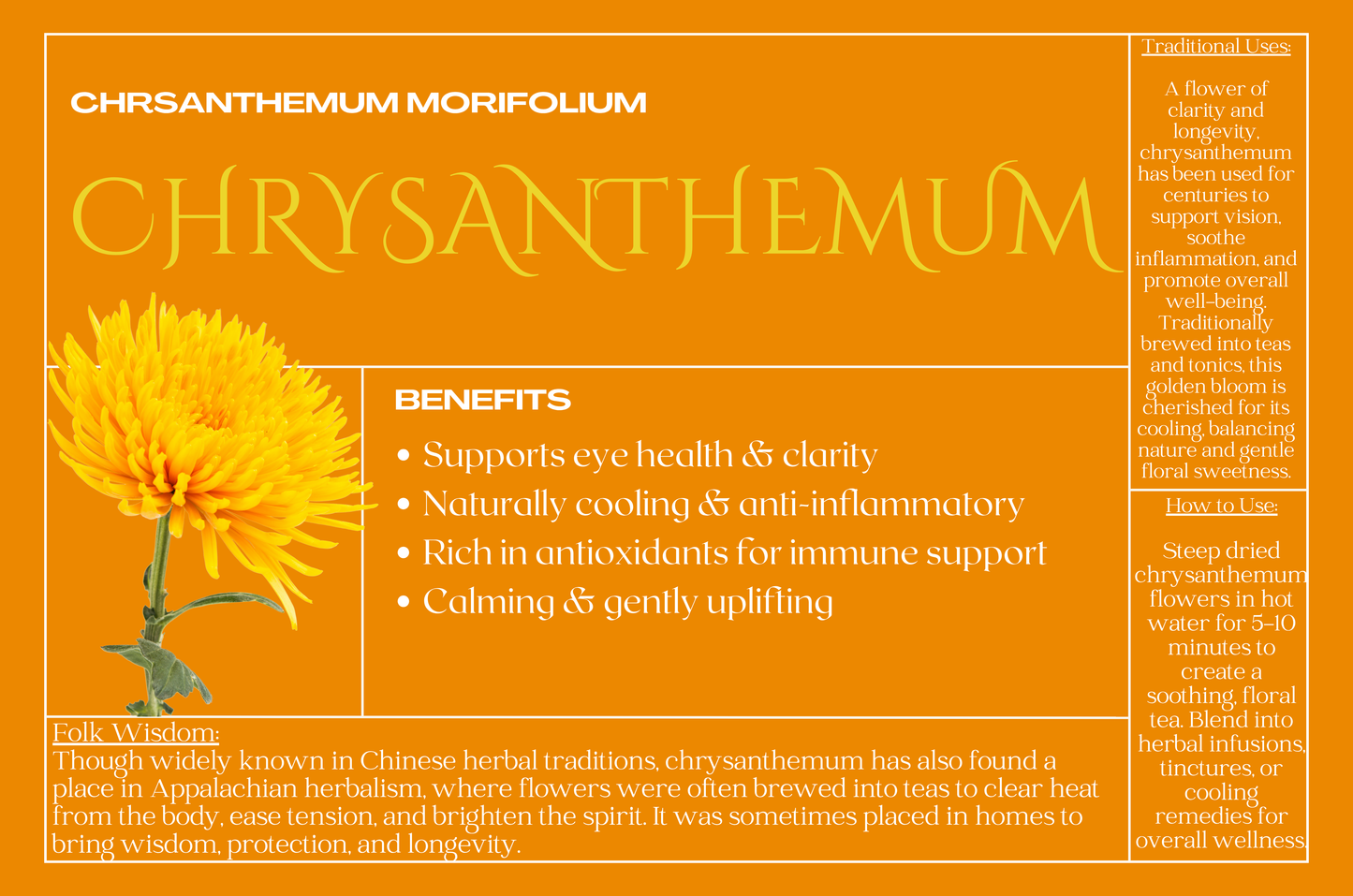Chrysanthemum