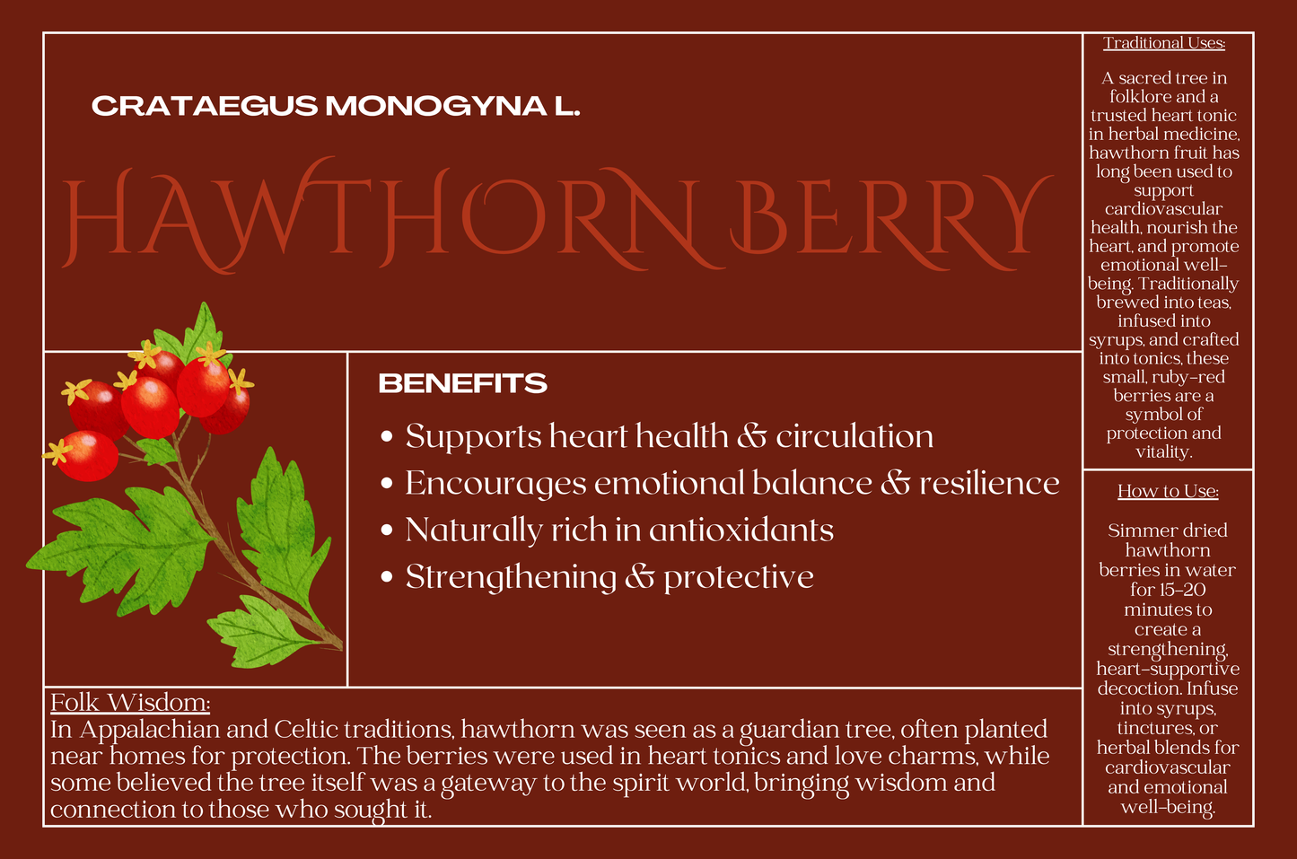 Hawthorn Berries