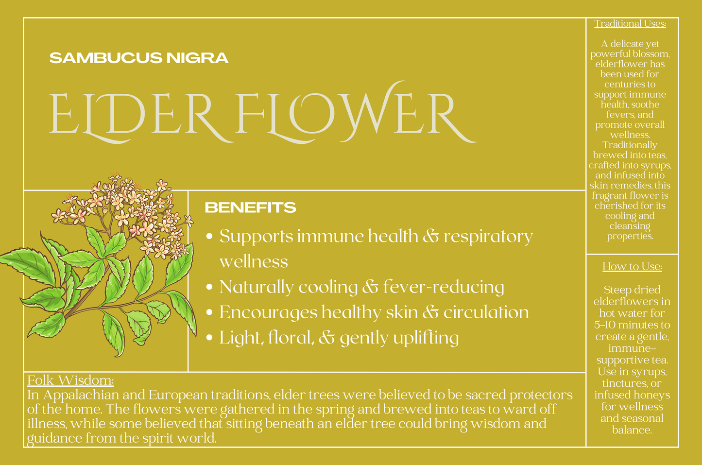Elderflower