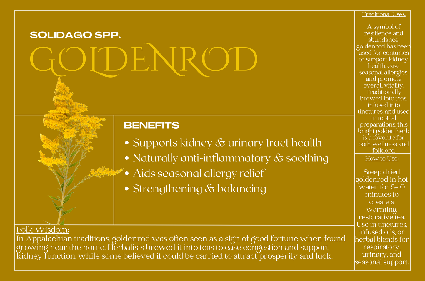 Goldenrod