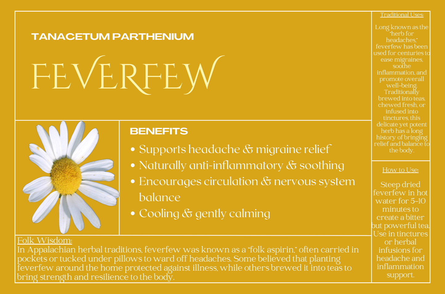 Feverfew