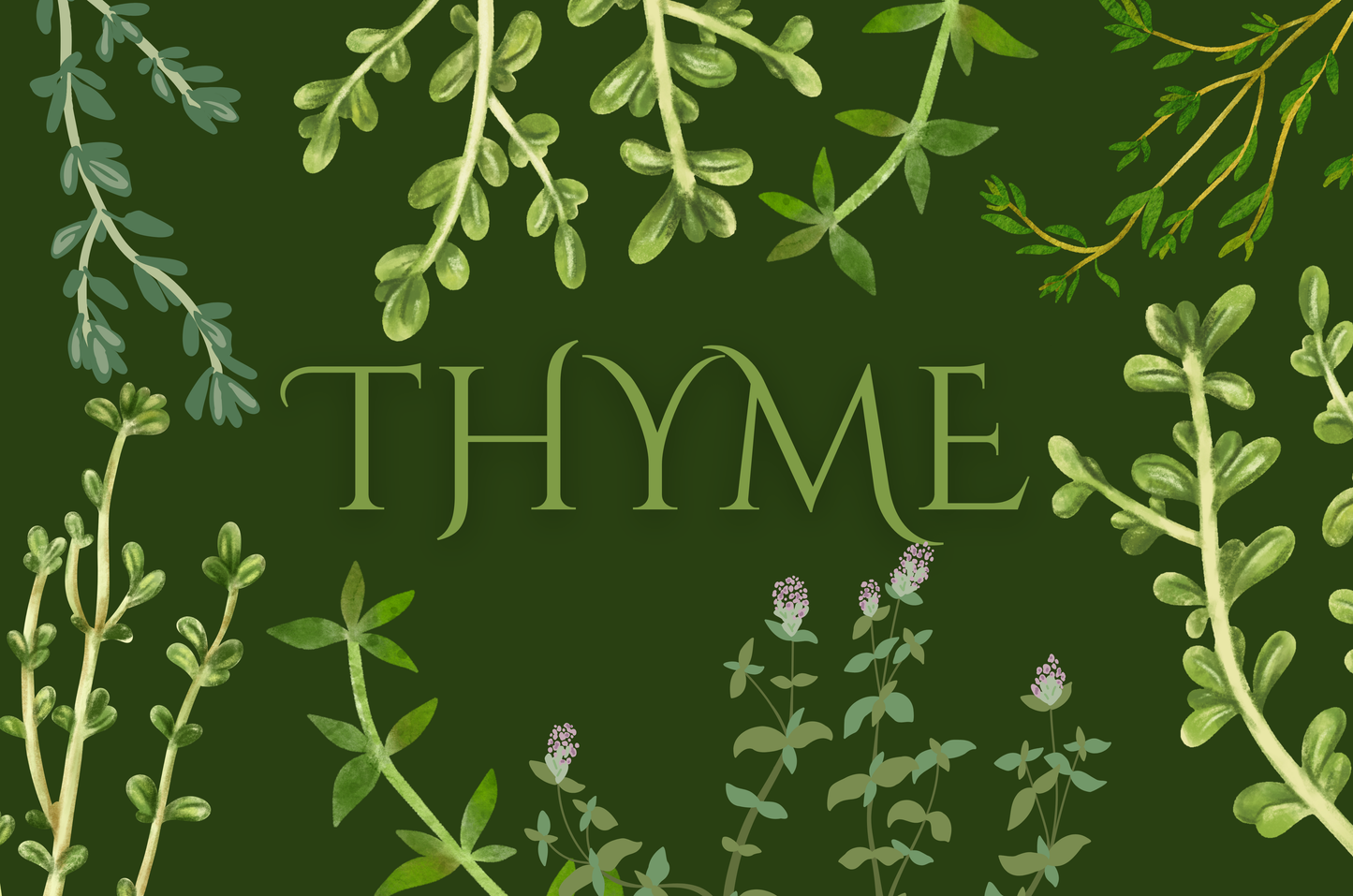 Thyme