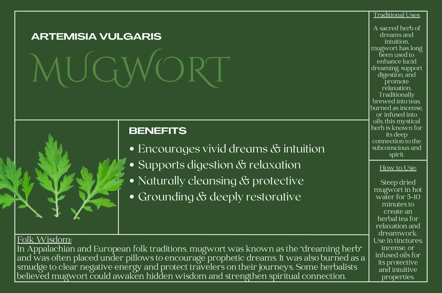 Mugwort