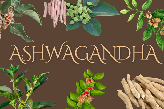 Ashwagandha Root