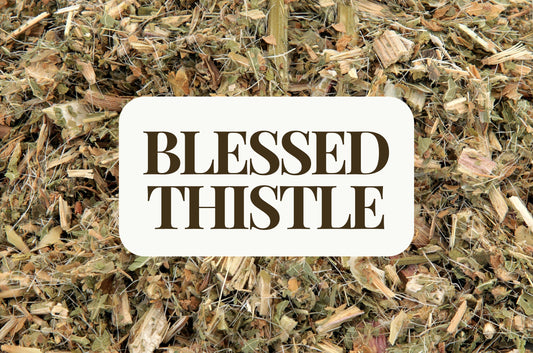 Blessed Thistle