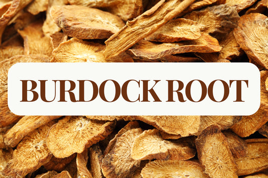 Burdock Root