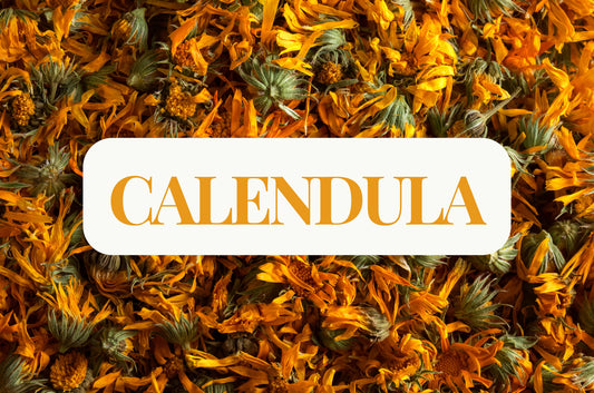 Calendula