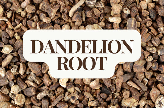 Dandelion Root