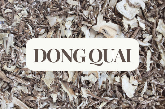 Dong Quai