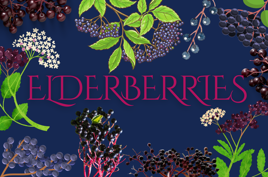 Elderberries