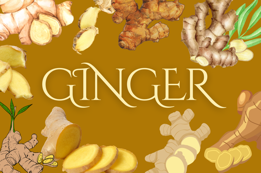 Ginger