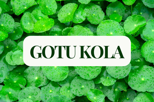 Gotu Kola