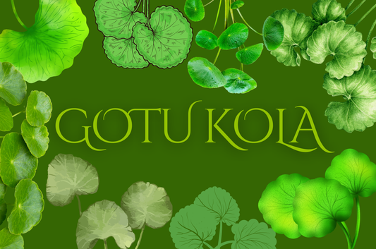 Gotu Kola