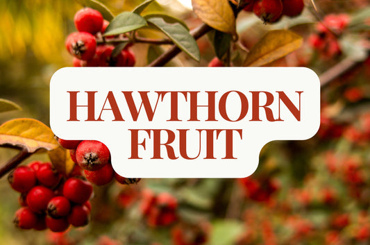 Hawthorn Berries