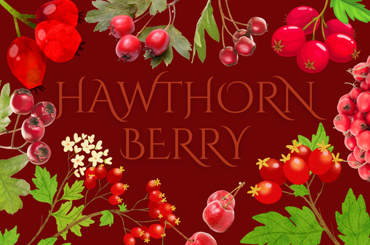 Hawthorn Berries