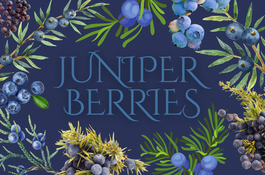 Juniper Berries