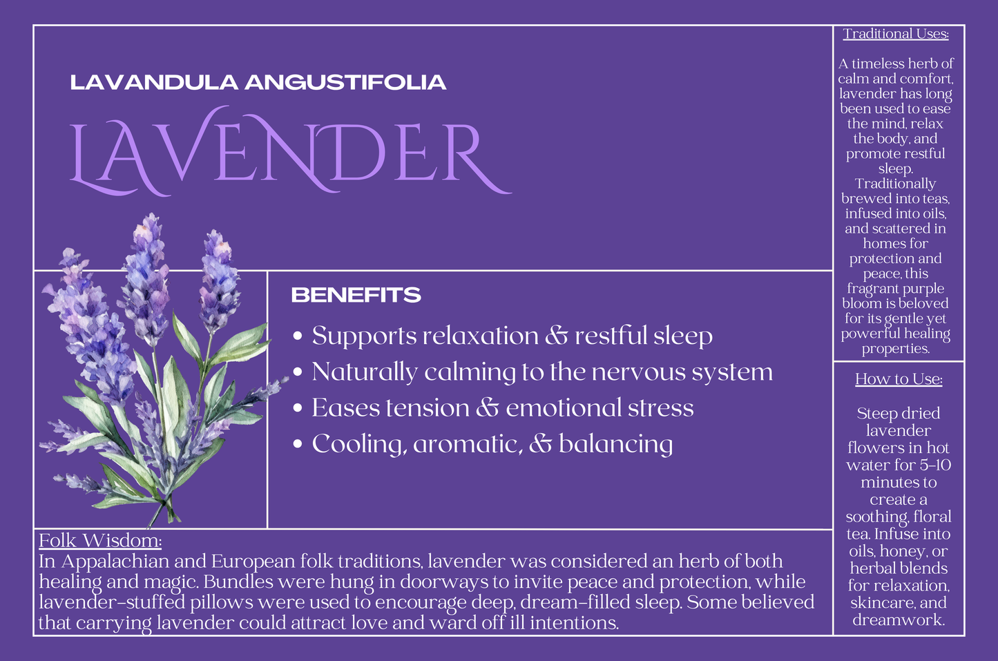 Lavender