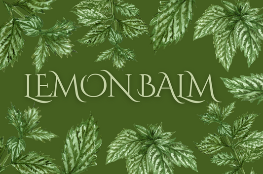 Lemon Balm