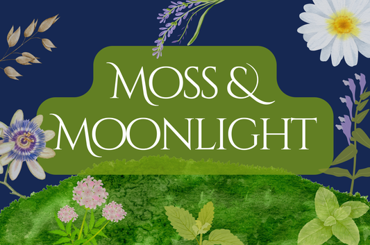 Moss & Moonlight Tea