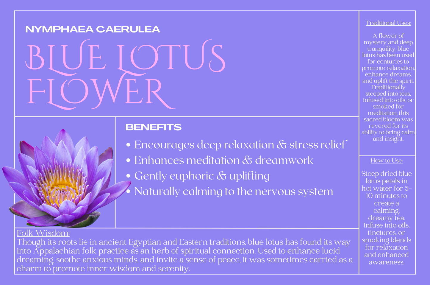 Blue Lotus Flower
