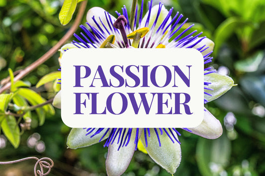 Passion Flower