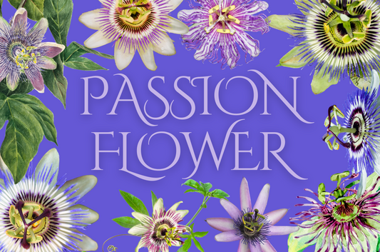 Passion Flower