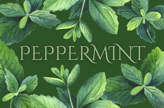 Peppermint