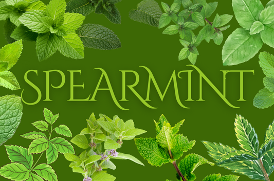 Spearmint