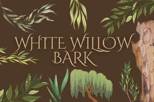 White Willow Bark